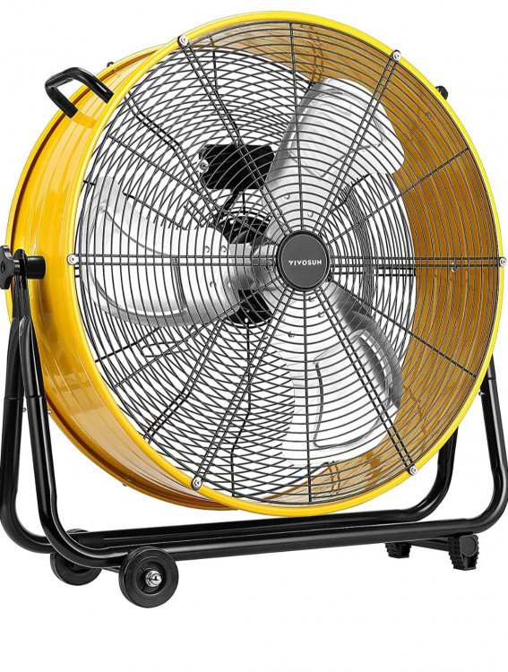 Fan