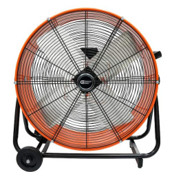 Fan