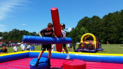 3b30128467878864814df324928aa7dd 1774307842 Joust Arena