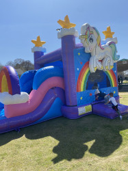 5n1 Unicorn bounce house with basketball goal slide and pool